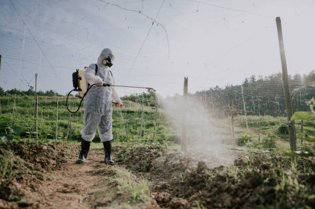 Best Affordable Pest Control Services  in Irrigon, OR