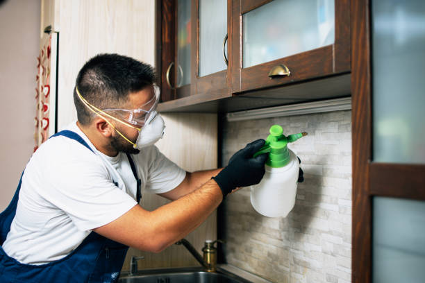 Pest Prevention Services in Irrigon, OR