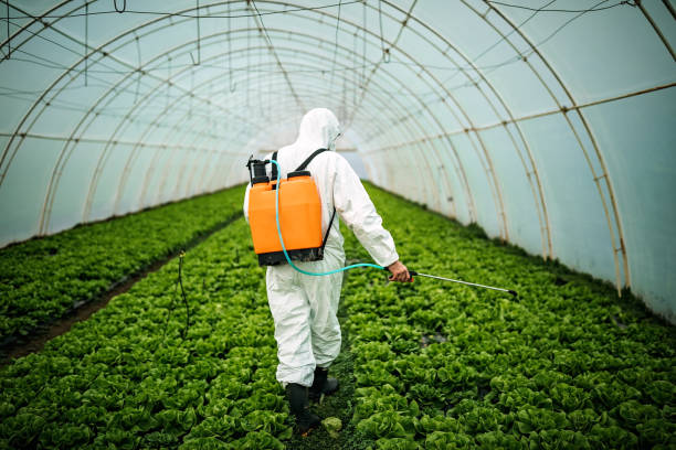 Professional Pest Control in Irrigon, OR