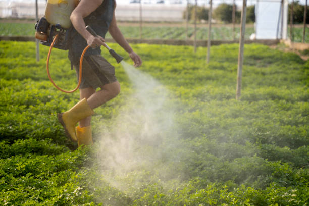 Best Ant Control Services  in Irrigon, OR