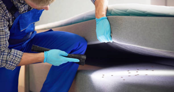 Best Affordable Pest Control Services  in Irrigon, OR