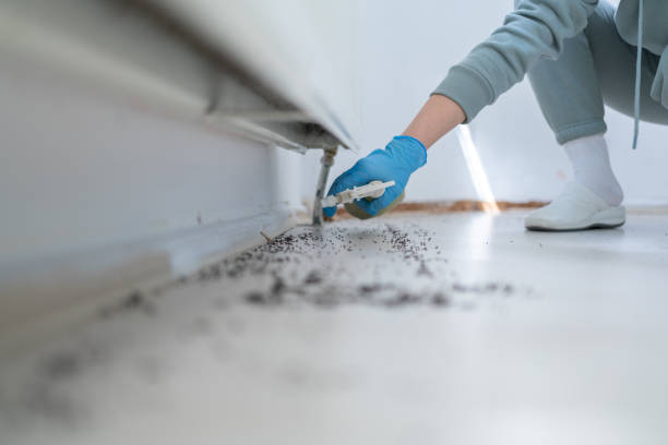 Best Best Pest Control Companies  in Irrigon, OR