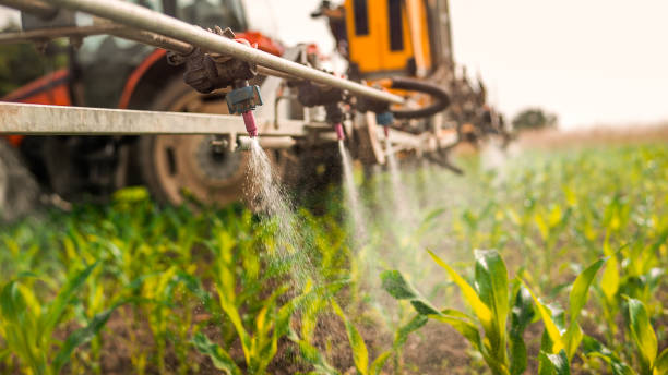 Best Affordable Pest Control Services  in Irrigon, OR